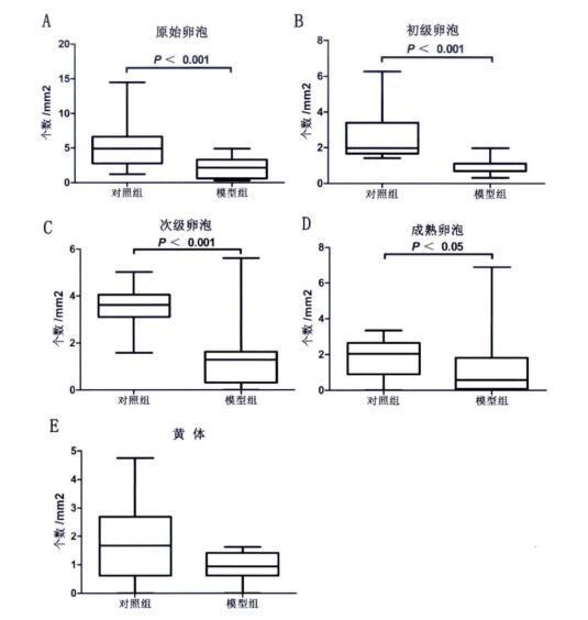 干细胞治疗