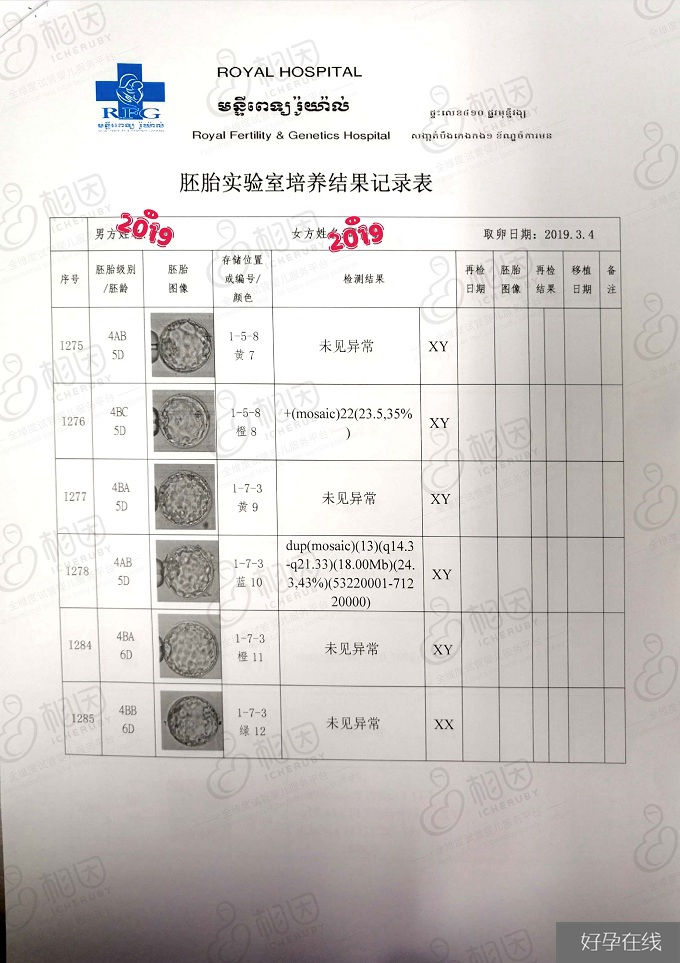 柬埔寨试管婴儿胚胎检测报告