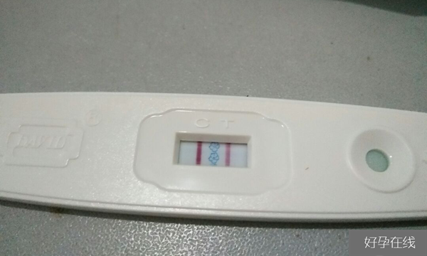 5bc囊胚移植成功率并不低