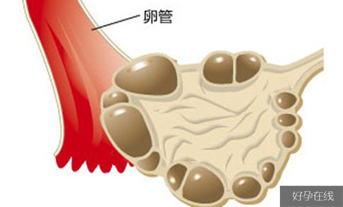 超长发方案与短方案区别