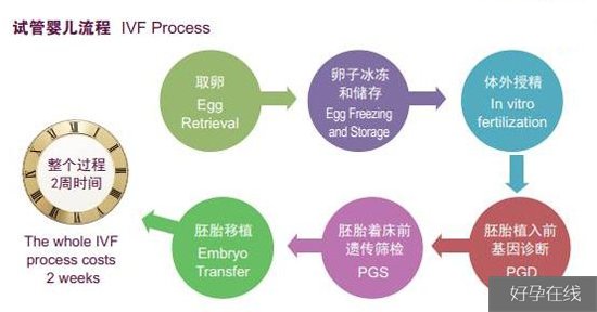 NGC医院试管婴儿流程