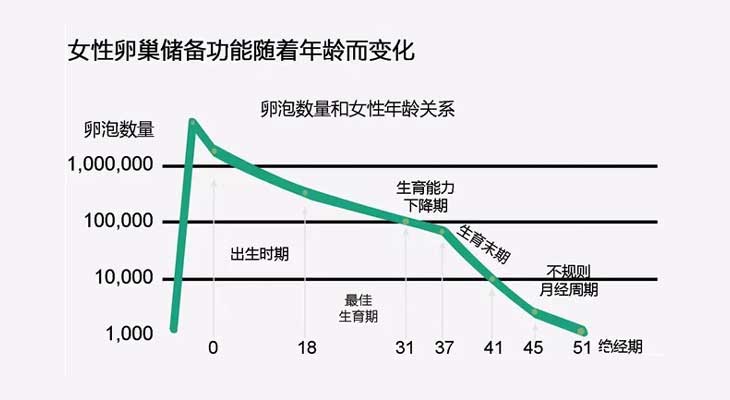 女士卵巢贮备功能转变表