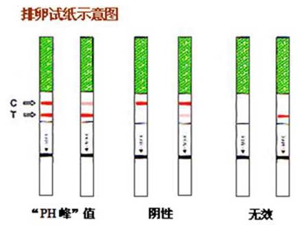 排卵试纸的两大作用