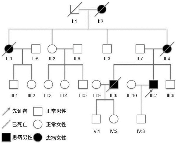 先天性外胚层发育不良综合症