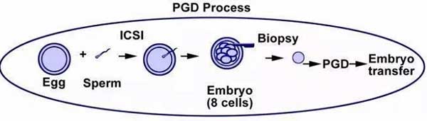 PGD示意