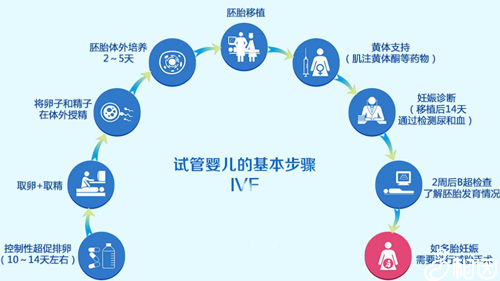 泰国试管婴儿流程需牢记