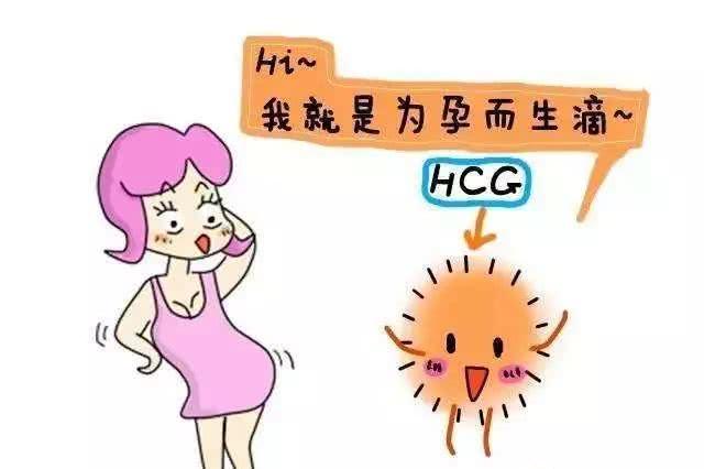 HCG、孕酮、流产之间的关系